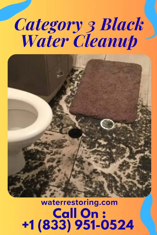 Category 3 Black Water Cleanup in Haymarket, VA