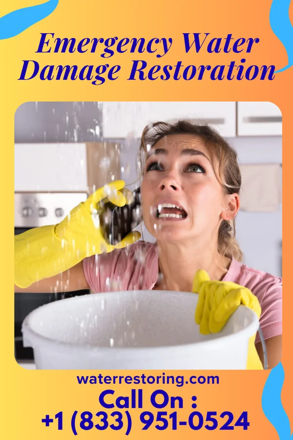 Emergency Water Damage Restoration in Haymarket, VA